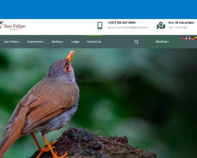 San Felipe Birding