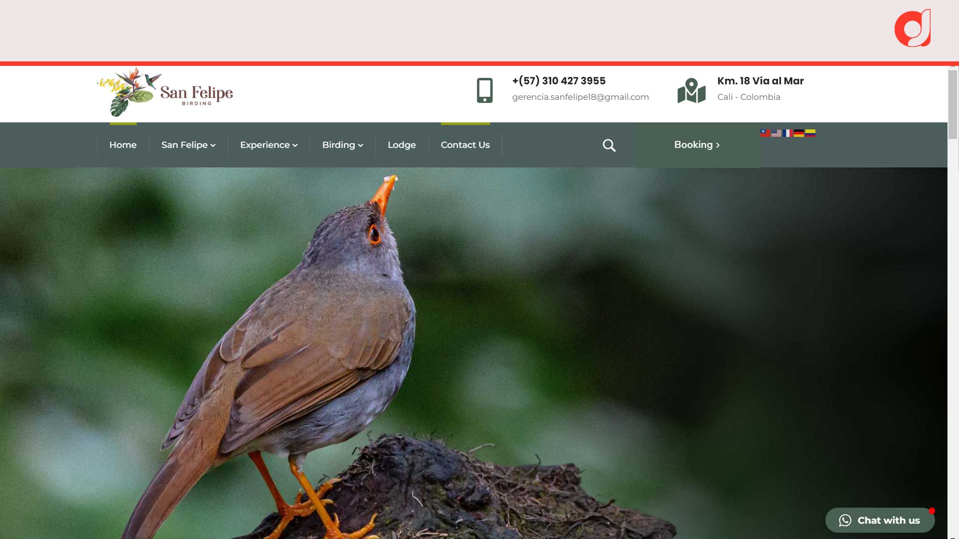 San Felipe Birding