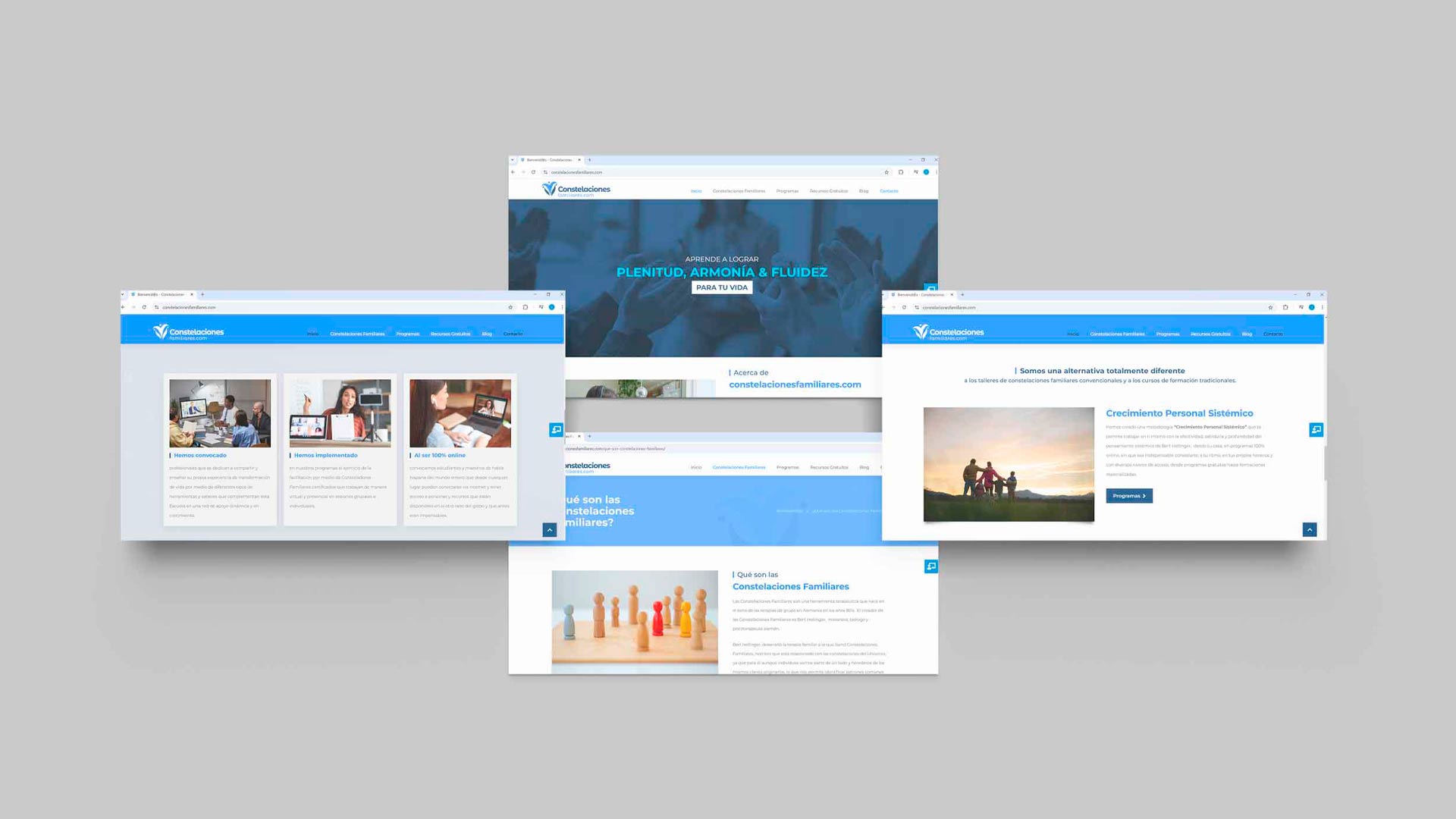 Constelaciones Familiares